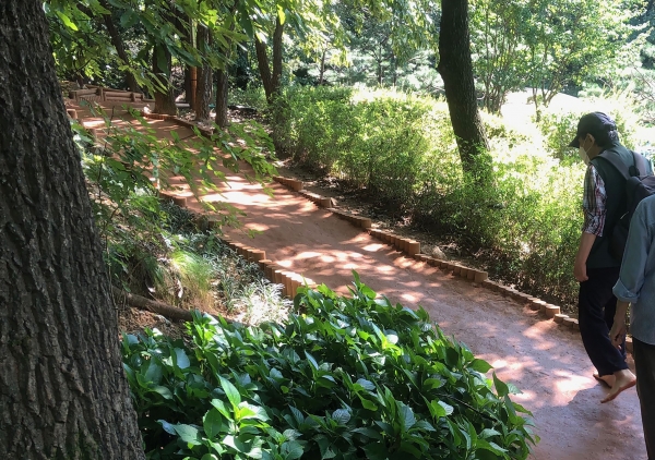 성남시 중원구 황송공원 황톳길에서 한 주민이 산책을 하고 있다.&nbsp;